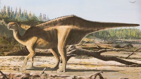 New dinosaur named after record-breaking yachtswoman