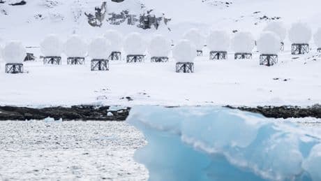 Intelligence Agencies Increase Focus on Greenland, U.S. Officials Say