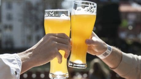 Acht Biere im Vergleich: Ein Weizenbier ist nie zu viel