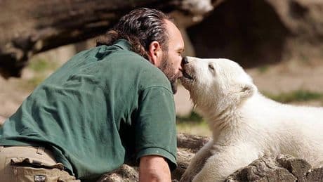 Tierpfleger-Gehalt in Deutschland: So viel verdienen sie wirklich
