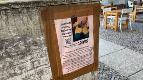 Berlin: Teddy verzweifelt gesucht: 1000 Euro für "Mini" ausgesetzt