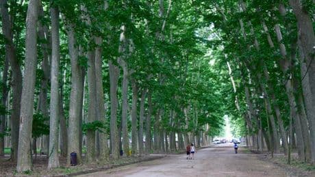 El parque más grande de Cataluña no es la Ciutadella