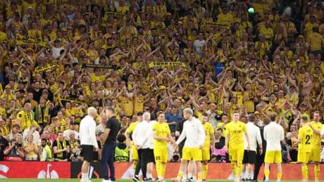 Ligue Europa : froid extrême, pelouse synthétique, ville isolée... Cinq choses à savoir sur Bodo/Glimt, qui rêve de renverser Tottenham