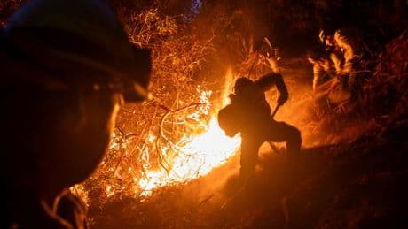 OPINION. « Los Angeles, entre incendies et invention urbaine ? »