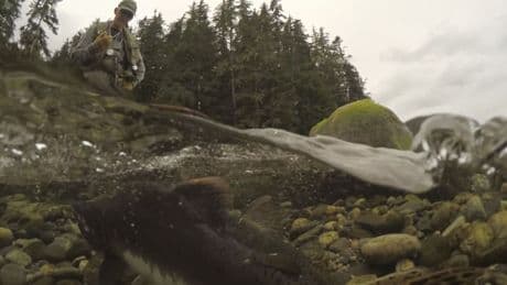 Concerns raised over alleged cuts to North Coast salmon monitoring