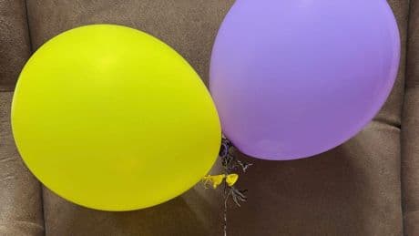 Oberhausen: Ballons landen nach 300 Kilometern in Hamburg