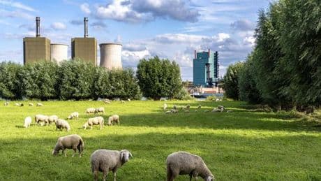 Gaskraftwerke: Vollgas für Deutschland