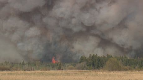 Wildfire evacuation order lifted for residents north of Edmonton