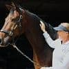 Dressage rider left in a wheelchair after pack of dogs let off the lead by their walker spooked her horse wins £500k payout