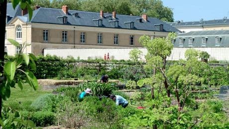 El huerto ecológico del Rey Sol en Versalles