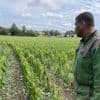 « Tout est mort, qu’est-ce qu’on fait ? » Avec l’orage, ces agriculteurs normands ont tout perdu