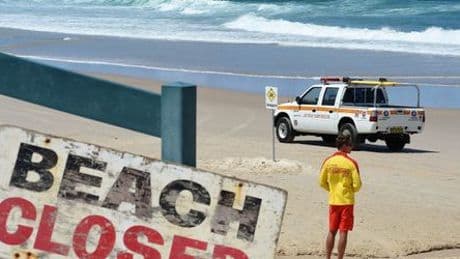 Australien: Hai greift Schwimmer an und verletzt ihn schwer