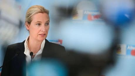 Medien veröffentlichen das geheime AfD-Gutachten