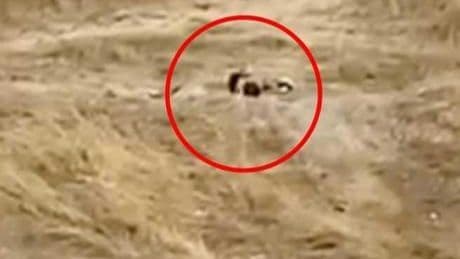 Tekirdağ'da uygunsuz hareketler sergileyen iki genç gözaltına alındı