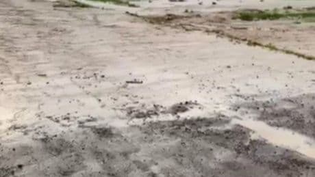 Kars'ta sel: Dereler taştı, ahırlar sular altında kaldı