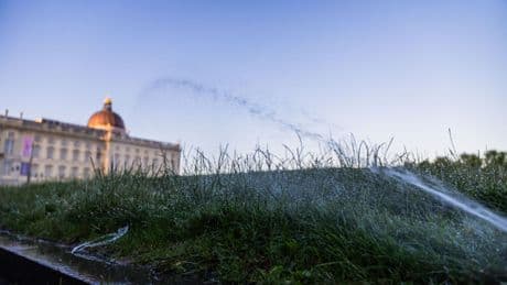 Bis zu 39 Grad: Neue Woche bringt Hitze in Berlin und Brandenburg
