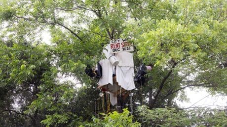 Letters to the Editor: Amid tree house standoff, 'what options do the unhoused have left?'