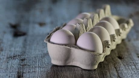 Una veterinaria aclara la diferencia entre los huevos de gallina en jaula y libertad