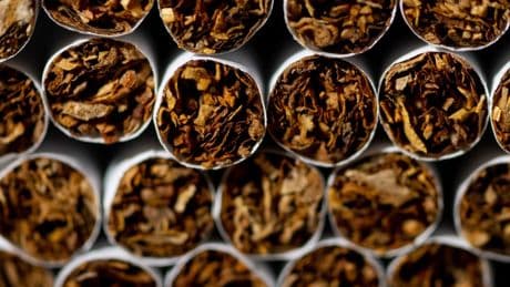 Teures Rauchen: Zigaretten könnten sehr viel teurer werden