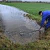 EU versoepelt milieuregels voor boeren voor tweede keer in jaar tijd