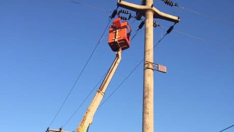 Milas’taki 50 yıllık elektrik direkleri ormanı tehdit ediyor