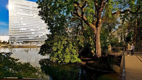 Düsseldorf: Ausflugstipps – Die besten Parks zum Spazieren in der Natur