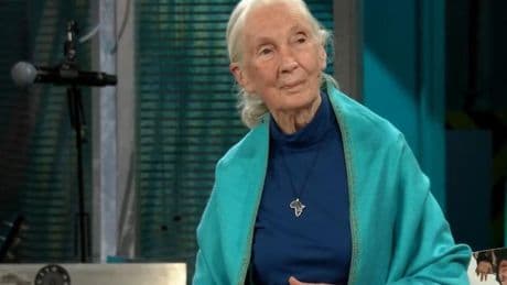 Broncano sorprende en 'La Revuelta' con Jane Goodall, la primatóloga más importante del mundo