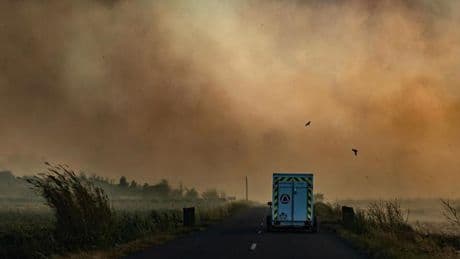 Waldbrände in Frankreich: "Ich kehre zurück in eine Mondlandschaft"