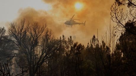 ‘Extremely worrying’ situation in Spain as 14 major wildfires rage