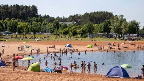 Er biss in zwei Stunden fünf Schwimmer - Polizei erschießt 2 Meter langen Wels im Badesee