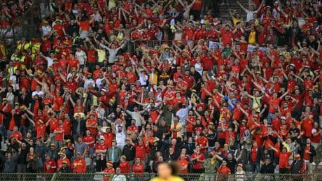 Wales fan rushed to hospital after falling from upper tier during World Cup qualifier against Belgium