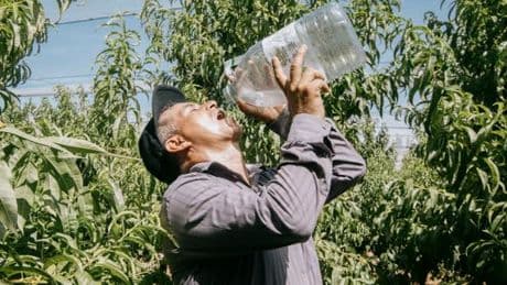 Canicule : un dôme de chaleur s’installe sur la France pour plusieurs jours