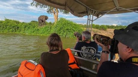 « On recueille davantage de likes avec une panthère ou un ours blanc qu’avec un beau paysage » : les nouveaux safaris photos en plein essor