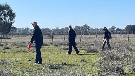 Desperate race to find extremely valuable treasure believed to be in a single remote Australian paddock