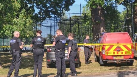 Witnesses will 'never forget the screams' as girl, 7, killed by tree in Chalkwell Park