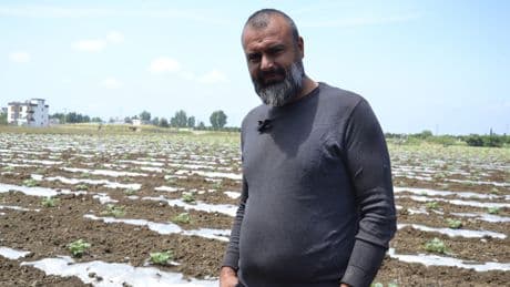 Karpuz üreticileri: Aylarca emek veriyoruz, hasadı öngöremiyoruz
