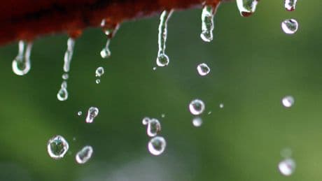 Regen: So senken Sie Ihre Niederschlagswasser-Gebühren