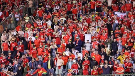 Juichen na treffer gaat mis: Welshe voetbalfan naar ziekenhuis na val tijdens duel met België