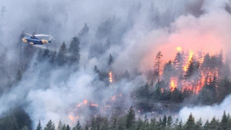 Wildfire south of Lytton triples in size to 460 hectares