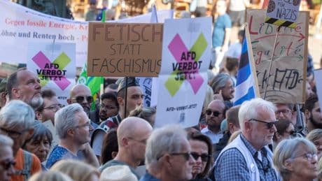 Protestaktionen: Demonstrationen in Hessen für AfD-Verbot