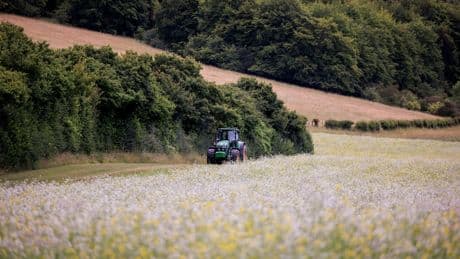Cutting agricultural budget could be 'catastrophic' for nature, farmers and charities warn