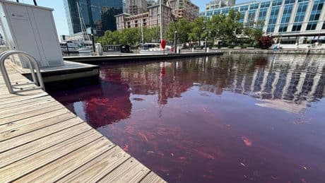 Clean-up underway after 2,000 gallons of fuel spill in Baltimore Harbor from leak at Johns Hopkins Hospital
