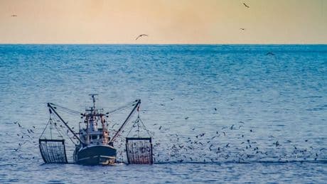 Subsurface Sea Mud Is The Unsung Hero In The Climate War