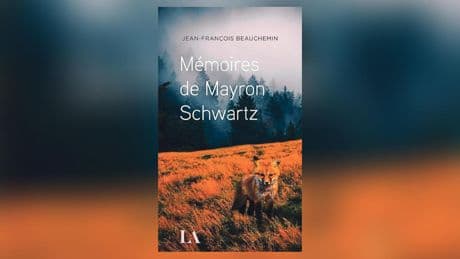 Mémoires de Mayron Schwartz, de Jean-François Beauchemin : la terre, le ciel et les véhicules de l’amour