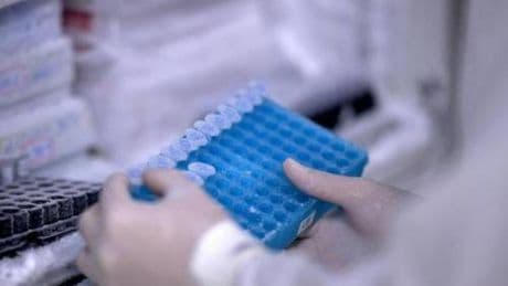 Ricerca, Rizzuto: "In Italia studi su Rna e terapie geniche per cure personalizzate"