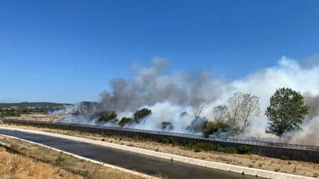 Çanakkale'nin Ayvacık ilçesinde orman yangını: Çöplükte başlayan yangın ormana sıçradı