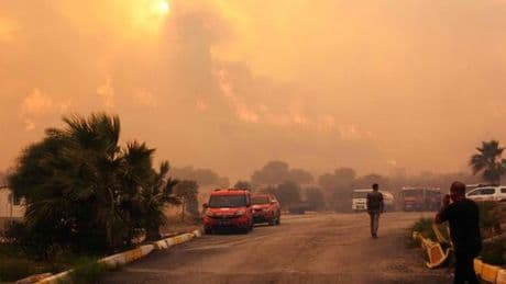 Incendies en Turquie : les principaux foyers partiellement maîtrisés