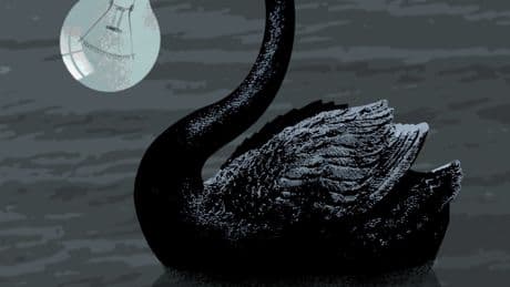 Cisne negro, pájaro de mal agüero