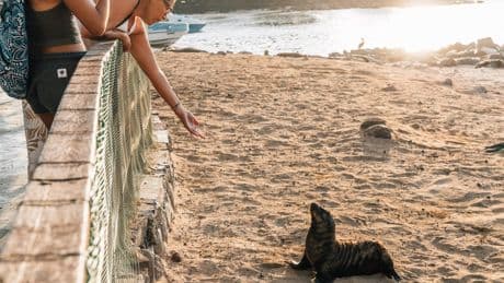 Overtourism is threatening wildlife – here’s how to have a responsible holiday