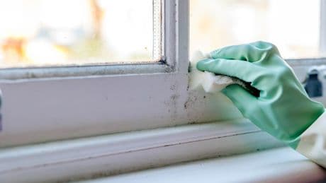 Schimmel vorbeugen: Diese Schüssel sollte immer auf Ihrem Fensterbrett stehen